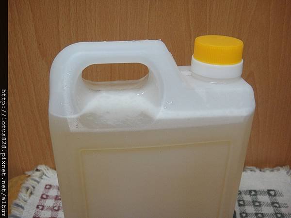 DSC08273.JPG