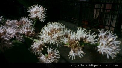 20170113 010.jpg
