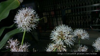 20170113 007.jpg