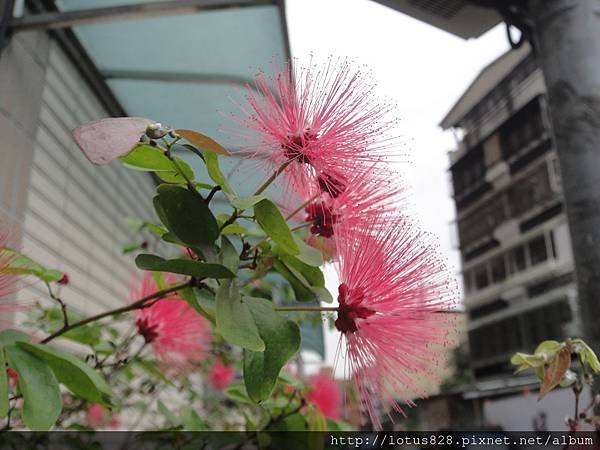 DSC08289.JPG