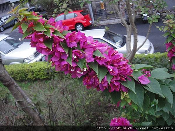 DSC08775.JPG