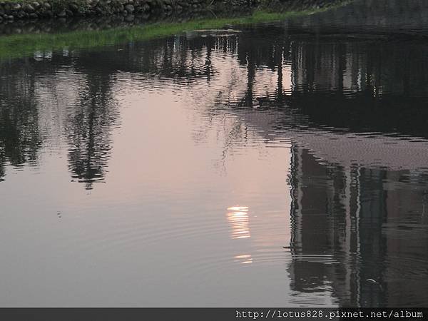 DSC08806.JPG