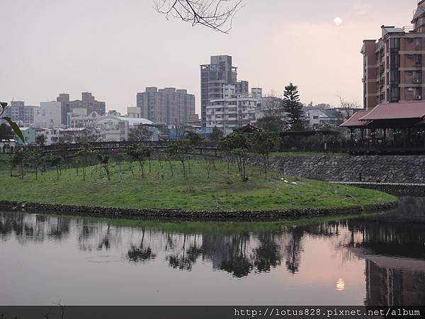 DSC08807.JPG