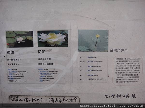 DSC08817.JPG