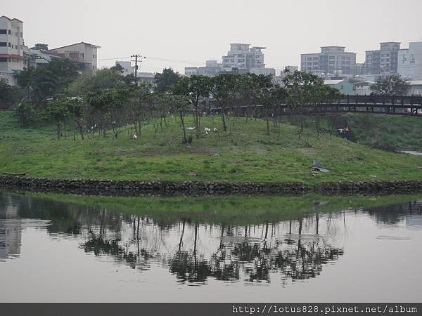 DSC08818.JPG