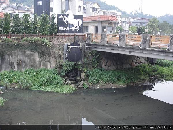 DSC08841.JPG