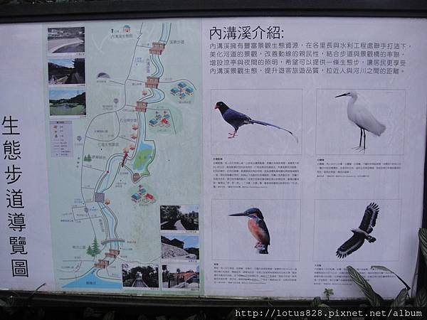 DSC08849.JPG