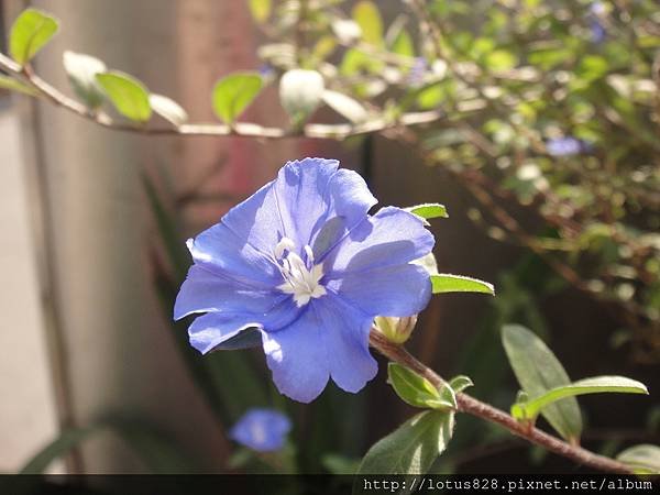 DSC09004.JPG