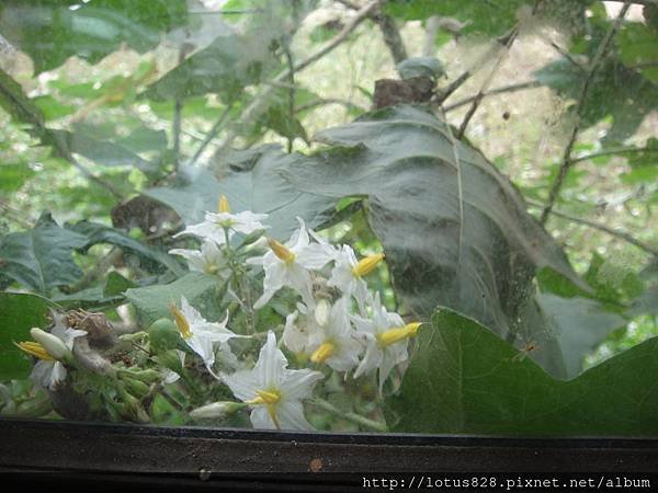 DSC09111.JPG