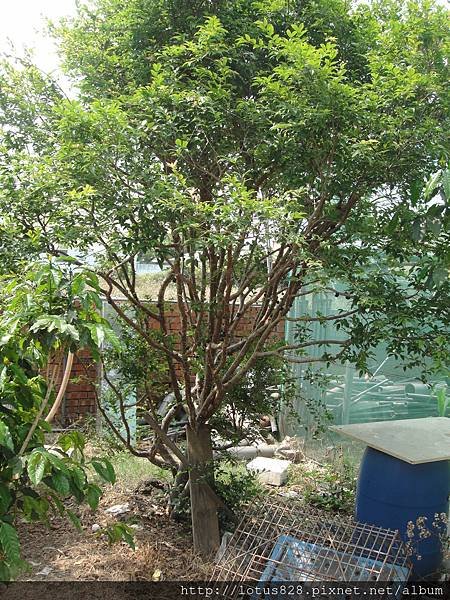 DSC09116.JPG