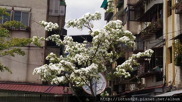 P_20180403_110830.jpg