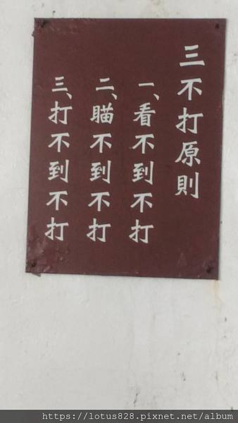 P_20181026_133308.jpg