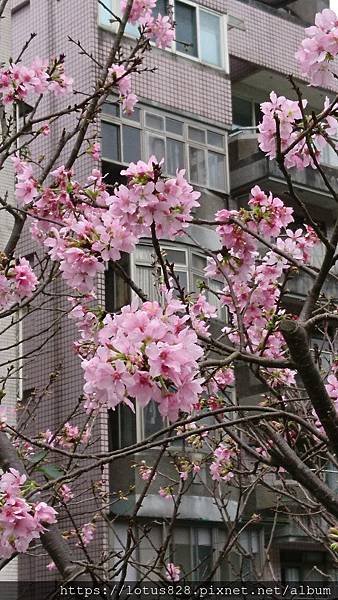 DSC_0117.JPG