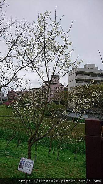 DSC_0120.JPG