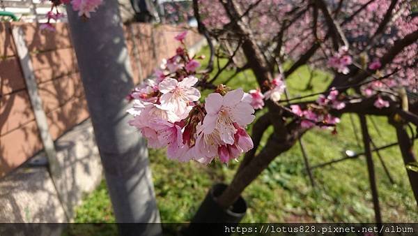 DSC_1417.JPG
