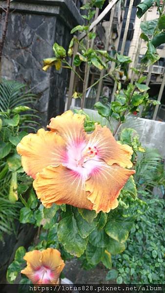 DSC_2952.JPG