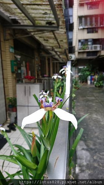 DSC_3898.JPG
