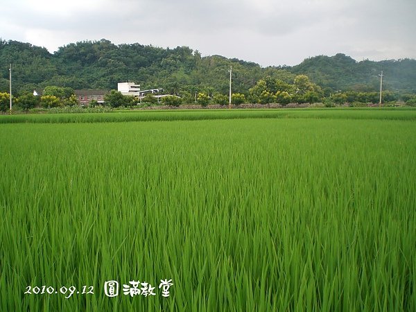 CIMG5661.jpg