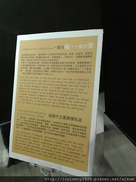 20121230_164007