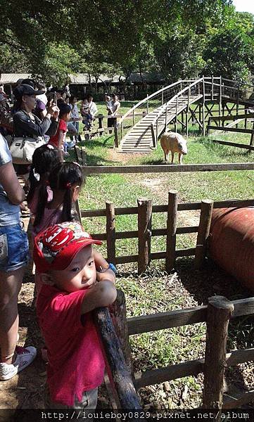 20130608_145344.jpg