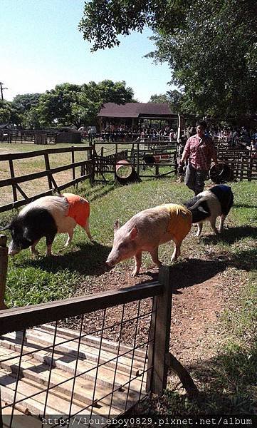 20130608_144909.jpg