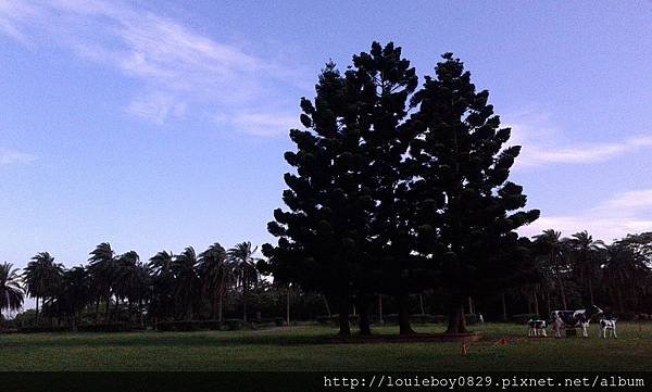 20130608_165036.jpg