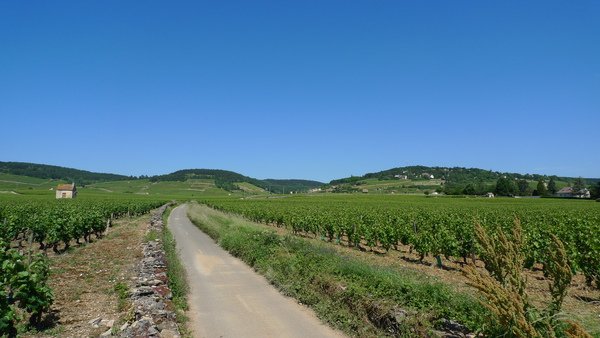 P1010620.JPG