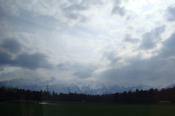 DSC02081.JPG
