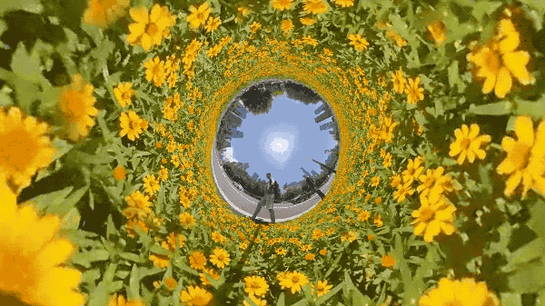 Insta360 - 口袋全景運動相機