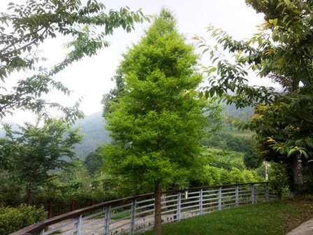 相片1278.jpg