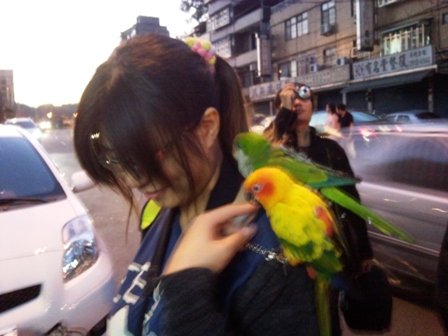 相片2878.jpg