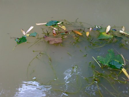 201006163348.jpg