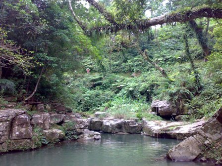 201008013709.jpg