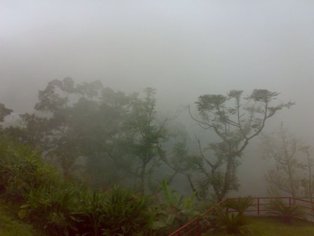 200911071199.jpg