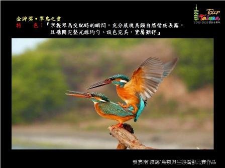 完美來自專業攝影1.JPG