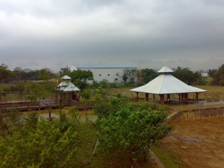 201101094355.jpg