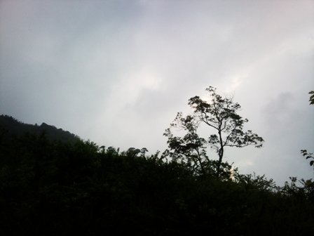 相片1372.jpg