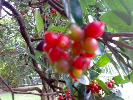 201006163320.jpg