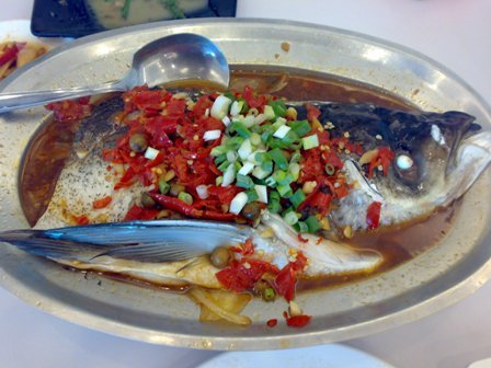 20100717161.jpg