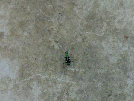 201006163356.jpg