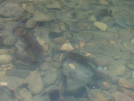201008013699.jpg