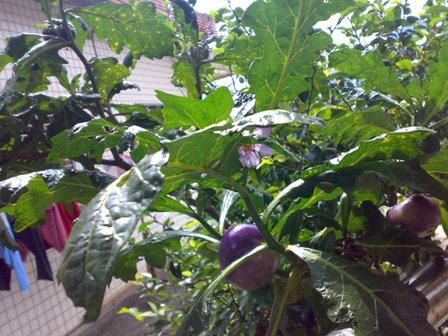 201006203448.jpg