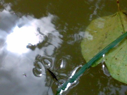 201006163341.jpg