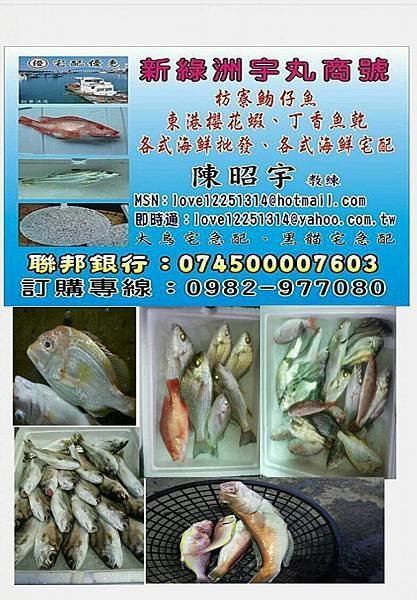 龍膽石斑魚介紹 洽詢0982977080