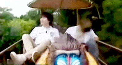 5.gif