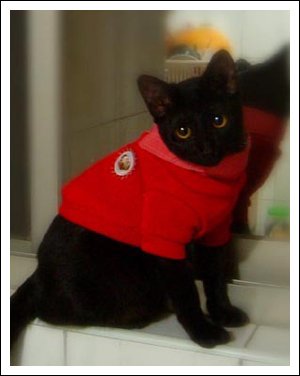 0112-1.jpg