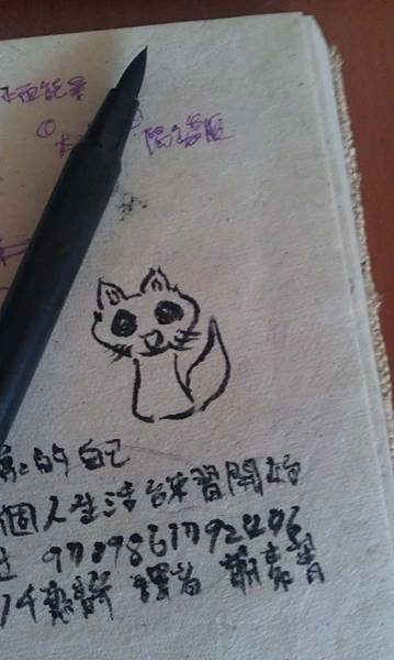 IMAG0231