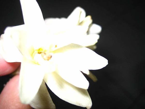 IMG_4918.JPG