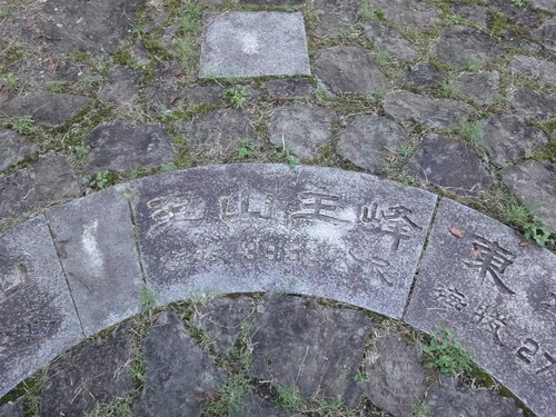 20登玉山2011年.jpg