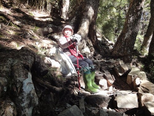 79登玉山2011年.jpg